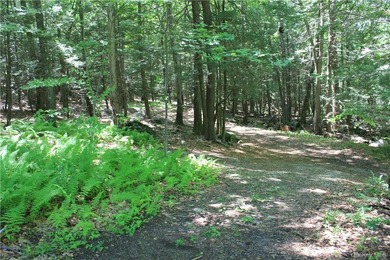 Exceptional 44-Acre Estate or Development Opportunity in Pound - photo 4