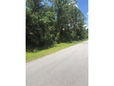 BUILD YOUR DREAM OASIS IN NORTH PORT - PRIVATE AND FAST TRACK - photo 14