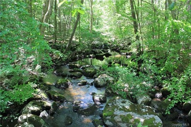 Exceptional 44-Acre Estate or Development Opportunity in Pound - photo 5