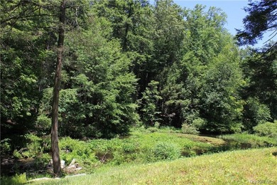 Exceptional 44-Acre Estate or Development Opportunity in Pound - photo 7