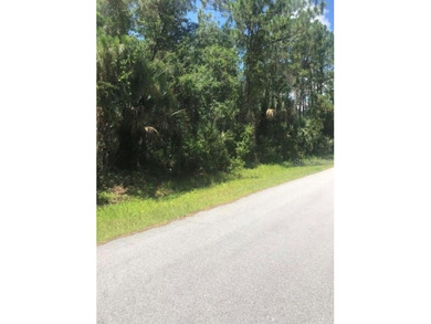 BUILD YOUR DREAM OASIS IN NORTH PORT - PRIVATE AND FAST TRACK - photo 17