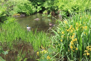 Exceptional 44-Acre Estate or Development Opportunity in Pound - photo 8