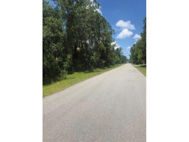 BUILD YOUR DREAM OASIS IN NORTH PORT - PRIVATE AND FAST TRACK - photo 18