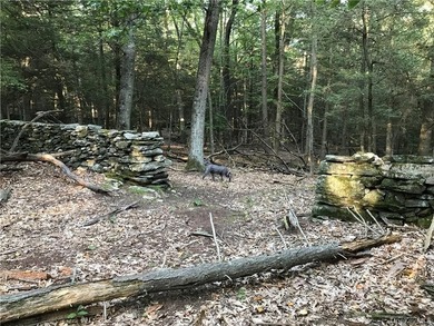 Exceptional 44-Acre Estate or Development Opportunity in Pound - photo 9