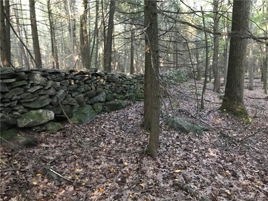 Exceptional 44-Acre Estate or Development Opportunity in Pound - photo 10
