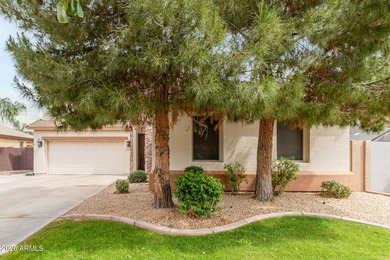 A 5-bed, 3-bath home in the Villages at Queen Creek with 3,237 - photo 5