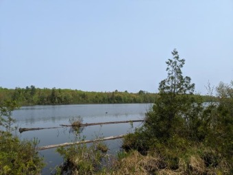 North Fork Flambeau River Acreage For Sale in Park Falls Wisconsin