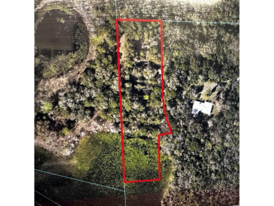 Lake Acreage For Sale in Weirsdale, Florida