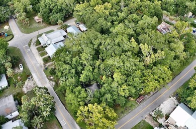 Build or invest in the heart of Apalachicola's Historic District - photo 3