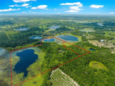 Lake Home For Sale in Weirsdale, Florida