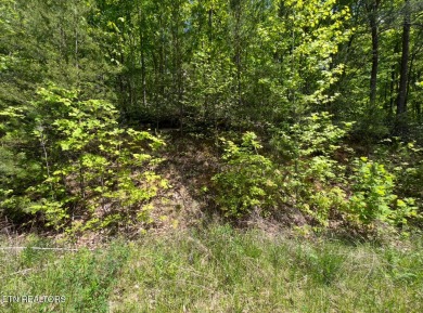 Lake Lot For Sale in Sevierville, Tennessee