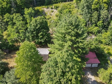 Beautiful contemporary home tucked into the woods with a creek - photo 29