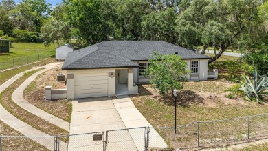 Lake Home Sale Pending in Ocala, Florida