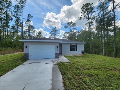 Lake Home For Sale in Dunnellon, Florida