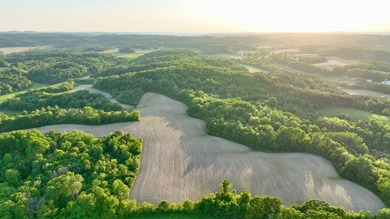 Welcome to an extraordinary 203 +/-acre legacy property offering - photo 3