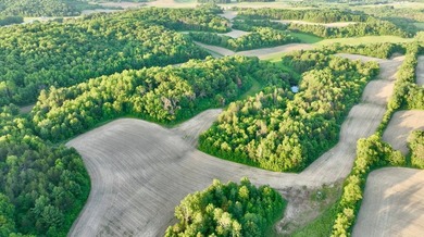 Welcome to an extraordinary 203 +/-acre legacy property offering - photo 10