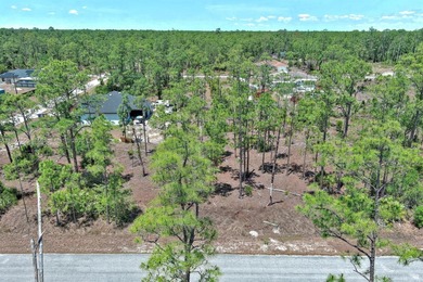 Lehigh Acres Area Lot For Sale in Lehigh Acres Florida