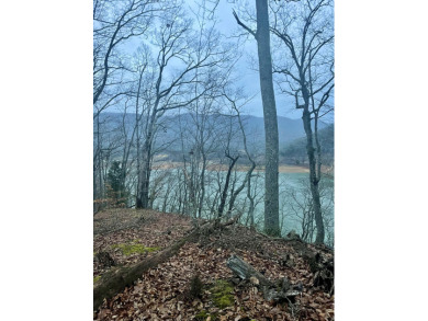 Exquisite Lakefront property with Breathtaking Mountain Views on - Lake Lot For Sale in Whitesburg, Tennessee