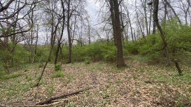 Beautiful Wooded 1 Acre Lot backing up to Deer Creek and Awesome - Lake Lot For Sale in Crown Point, Indiana