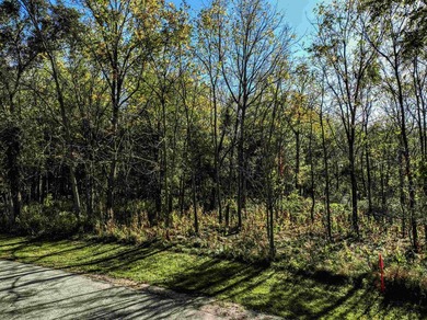 Bring your house plans! 3 lots to choose from. Country like feel - photo 16