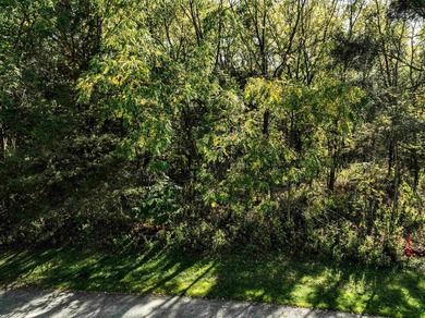 Bring your house plans! 3 lots to choose from. Country like feel - photo 19