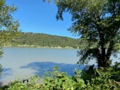 Ohio River - Lewis County Acreage For Sale in Vanceburg Kentucky