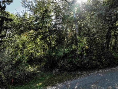 Bring your house plans! 3 lots to choose from. Country like feel - photo 22