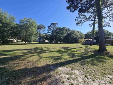 Gorgeous 1-Acre Residential Lot in Lanark, FL - The Forgotten - photo 3