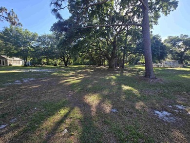 Gorgeous 1-Acre Residential Lot in Lanark, FL - The Forgotten - photo 6