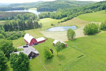 Lake Home Off Market in Richfield Springs, New York