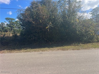 Lehigh Acres Area Lot For Sale in Lehigh Acres Florida
