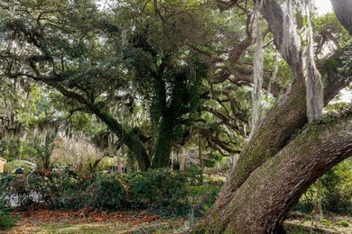 This +/-2.9-acre parcel presents a truly rare opportunity to own - photo 3