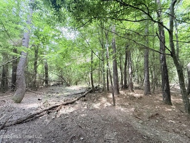This beautiful 53.3-acre property is located in Summit - photo 12