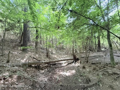 This beautiful 53.3-acre property is located in Summit - photo 13