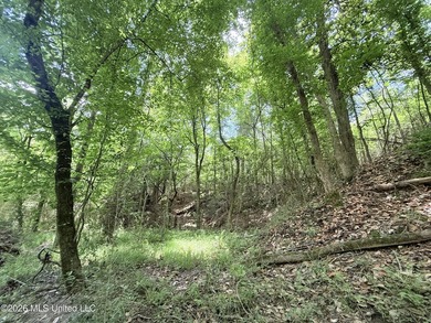 This beautiful 53.3-acre property is located in Summit - photo 17