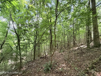 This beautiful 53.3-acre property is located in Summit - photo 18