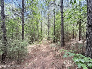 This beautiful 53.3-acre property is located in Summit - photo 19