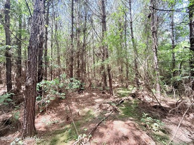This beautiful 53.3-acre property is located in Summit - photo 20
