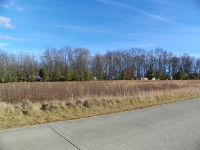 Lake Lot For Sale in Brookville, Indiana