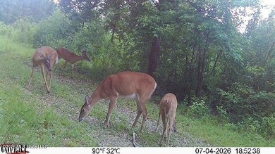 This beautiful 53.3-acre property is located in Summit - photo 25