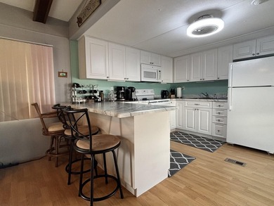 LOW HOA + NO LAND LEASE + LOW RE TAXES = AFFORDABLE 55+ LIVING! - photo 7