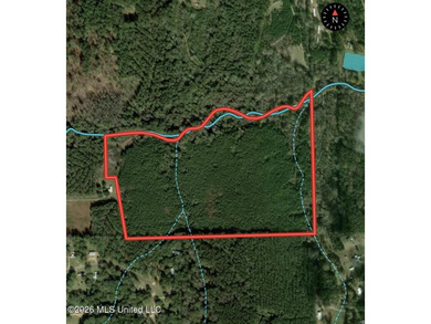 This beautiful 53.3-acre property is located in Summit - photo 31