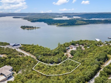 Table Rock Lake Lot For Sale in Galena Missouri