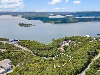 Lake Lot For Sale in Galena, Missouri