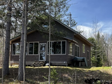 Lake Home Off Market in Gould City, Michigan