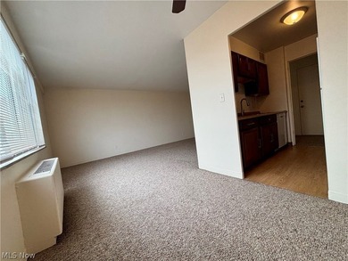 Welcome to this spacious, updated move-in-ready one-bedroom - photo 9