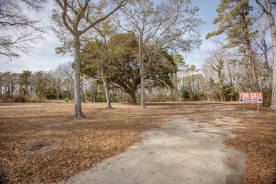 Intracoastal Waterway - Horry County Lot For Sale in North Myrtle Beach South Carolina