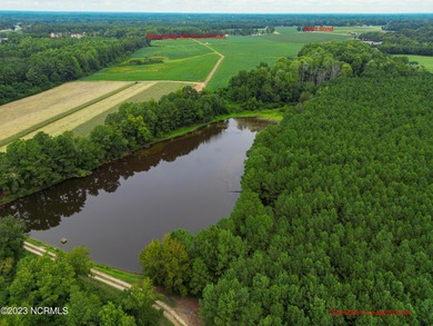 A ONE-OF-A-KIND-TROPHY FARM. GREAT LOCATION JUST 40 MINUTES TO - photo 2
