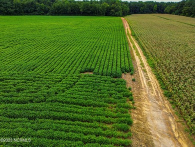 A ONE-OF-A-KIND-TROPHY FARM. GREAT LOCATION JUST 40 MINUTES TO - photo 7