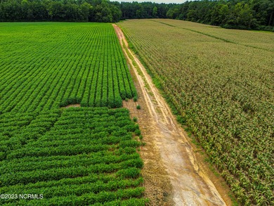 A ONE-OF-A-KIND-TROPHY FARM. GREAT LOCATION JUST 40 MINUTES TO - photo 9